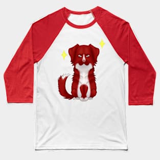 Nova Scotia retriever dark red Baseball T-Shirt